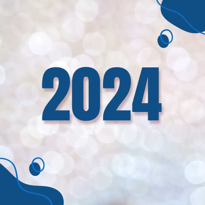 ORDENANZA 2024